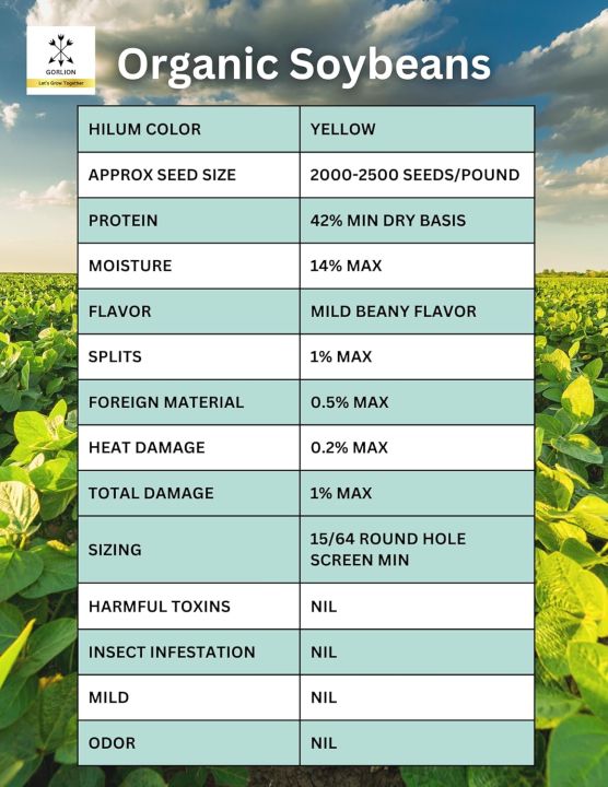 Soya%20bean%20(1000%20gram)%201%20Kg%20-%20Image%206