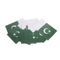 Pakistan Paper Jhadiyan Flag Hanging Wall Decoration Banner Happy Independence Day Celebration Garland Bunting Flags Pak Parcham Party Supplies Decor Photo Booth 14th August Parties Decorate Home, Rooms, School, Offices, Restaurants : YlOPaNKw. 