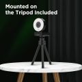 papalook 1080P USB Webcam with Ring Light and Tripod, PA552 Full HD Streaming Web Camera with Dual Microphones Zoom Skype Facetime Video Conference. 