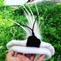 Feather Plume for Hunza Traditional Cap for Men. 