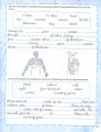 New Syllabus Handwriting 6, Handwriting Book Final Level, Joint Cursive Writing Book, English Writing Book for Primary and Secondary Level Students, Noorsons English Handwriting Book, Learn About The Human Body while Practicing Better Handwriting. 