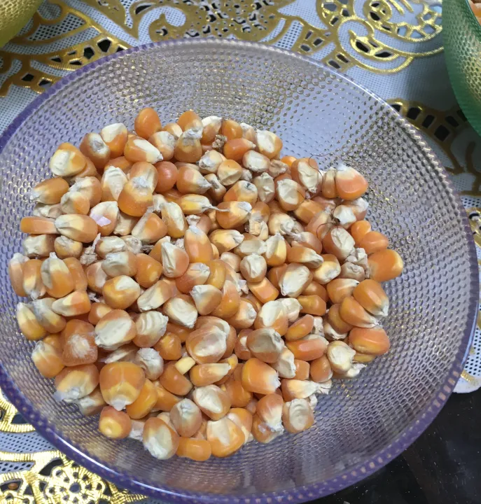 Maize%20,%20Corn%20,%20Makai,%20Sabit%20Makai%20Birds%20feed%20/%20Birds%20food%20for%20budgies%20cocktail%20cockatoo%20Alexandrine%20parakeet,%20RAW,%20Pahari%20Totta%20Larges%20Parrots,%20Suitable%20for%20African%20Grey%20Parrot,%20Macaw,%20lovebirds,%20Australian%20parrots,%20raw,%20ringneck%20and%20similar%20birds%20-%20Image%208