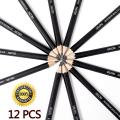 Professional Sketching Drawing Pencil Set - 12 Pieces Drawing Pencils 8B, 7B, 6B, 5B, 4B, 3B, 2B, B, HB, F, H, 2H Art Pencils Graphite Pencils for Beginners & Pro Artists. 