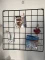 Metal Wire Wall Grid Panels, 2Pack, For Birthday Decor Party Decor Wall Decor Photo Hanging Display and DIY Decor Wall, Grid Photo Wall, Wall Storage. 