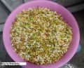 Organic Birds feed / Birds food Ready to prepare Soft Food Seed Mix for cocktail cockatoo Alexandrine , RAW, Pahari Totta Larges Parrots, Suitable for African Grey Parrot, Macaw,  lovebirds, Australian parrots, raw, ring neck and Other similar birds. 