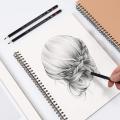 Professional Sketching Drawing Pencil Set - 12 Pieces Drawing Pencils 8B, 7B, 6B, 5B, 4B, 3B, 2B, B, HB, F, H, 2H Art Pencils Graphite Pencils for Beginners & Pro Artists. 