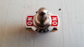 Switch Button 2 Way For Motor bike and Cars. 
