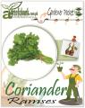 Coriander Ramses Kitchen gardeners packet. 