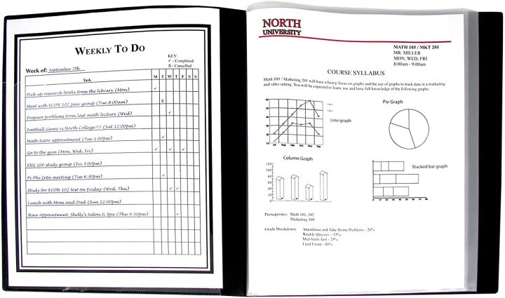 ZSSI%20%7C%20A3%20Presentation%20book%20%7C%20Display%20book%20%7C%20sheet%20file%20%7C%2040%20Clear%20Pockets%20%7C%20Art%20Portfolio%20Clear%20Book%20for%20Artwork%20%7C%20Report%20Sheet%20%7C%20Letter%20(Can%20Accommodate%2016.5%20X%2012.1inch)%20-%20Image%205