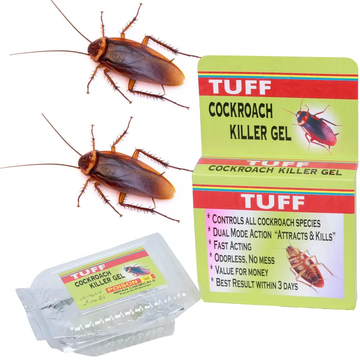TUFF%20cockroach%20killer%20gel%20/%20best%20result%20/%20Roach%20killing%20paste%20-%20Image%204
