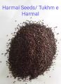 Harmal seeds, tukhm e harmal, 100g , خالص ہی ہماری پہچان. 