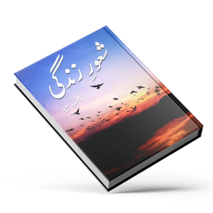 Shaur%20e%20Zindagi%20by%20Aqib%20Saeed%20%7C%20Self%20Help%20Book%20in%20Urdu%20Language%20-%20Image%202