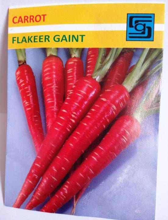 Carrot%20(Flakeer%20Gaint)%20Seeds%20-%20Image%203