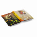 Teesra Janam by Dr. Khalid Jameel Akhtar  Autobiography Book in Urdu Language. 