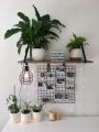 Pack of 2 Iron Girds for Memo Display Notes Display Study Room Wall Art Grid Wall Decor. 