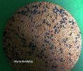 1 kg Birds feed / Birds food Seed Mix for birds  for budgies cocktail cockatoo Alexandrine parakeet, RAW, Pahari Totta Larges Parrots, Suitable for African Grey Parrot, Macaw, lovebirds, Australian parrots, raw, ringneck and similar birds. 