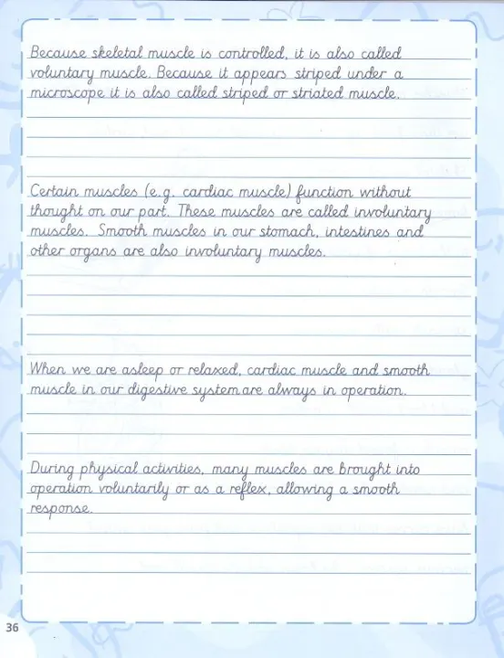 New%20Syllabus%20Handwriting%206,%20Handwriting%20Book%20Final%20Level,%20Joint%20Cursive%20Writing%20Book,%20English%20Writing%20Book%20for%20Primary%20and%20Secondary%20Level%20Students,%20Noorsons%20English%20Handwriting%20Book,%20Learn%20About%20The%20Human%20Body%20while%20Practicing%20Better%20Handwriting%20-%20Image%208