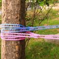 5 Meter - Clothesline Windproof Clothes Drying Rope Travel Clothes Line Portable Laundry Line Hanger Rope For Indoor Outdoor. 
