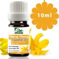 Bio Shop™ Ylang Ylang Aromatherapy Essential Oil - 100% Pure & Natural. 