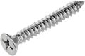 Stainless Steel SS CSK Screw 8# 1inch (Pack of 10pcs). 