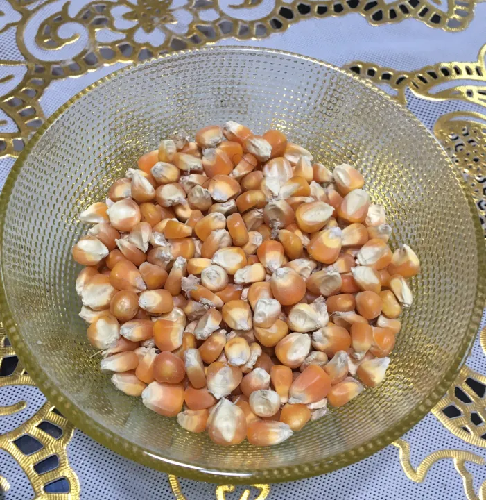 Maize%20,%20Corn%20,%20Makai,%20Sabit%20Makai%20Birds%20feed%20/%20Birds%20food%20for%20budgies%20cocktail%20cockatoo%20Alexandrine%20parakeet,%20RAW,%20Pahari%20Totta%20Larges%20Parrots,%20Suitable%20for%20African%20Grey%20Parrot,%20Macaw,%20lovebirds,%20Australian%20parrots,%20raw,%20ringneck%20and%20similar%20birds%20-%20Image%207