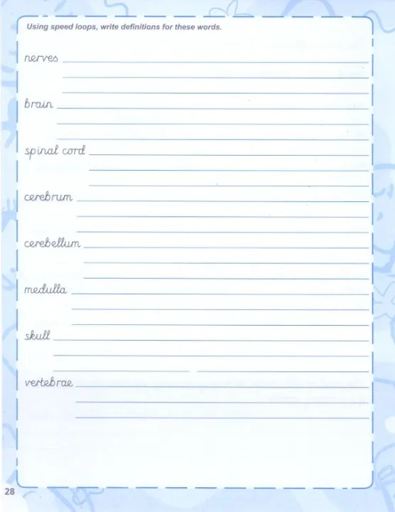 New%20Syllabus%20Handwriting%206,%20Handwriting%20Book%20Final%20Level,%20Joint%20Cursive%20Writing%20Book,%20English%20Writing%20Book%20for%20Primary%20and%20Secondary%20Level%20Students,%20Noorsons%20English%20Handwriting%20Book,%20Learn%20About%20The%20Human%20Body%20while%20Practicing%20Better%20Handwriting%20-%20Image%207