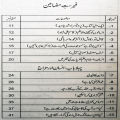 Zehen Bolta Ha by Sofia Sohail | Psychology Book in Urdu Language. 
