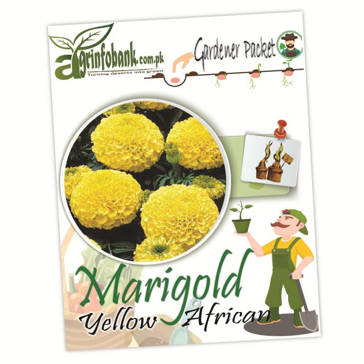 Yellow African Marigold, large flower premium quality seeds