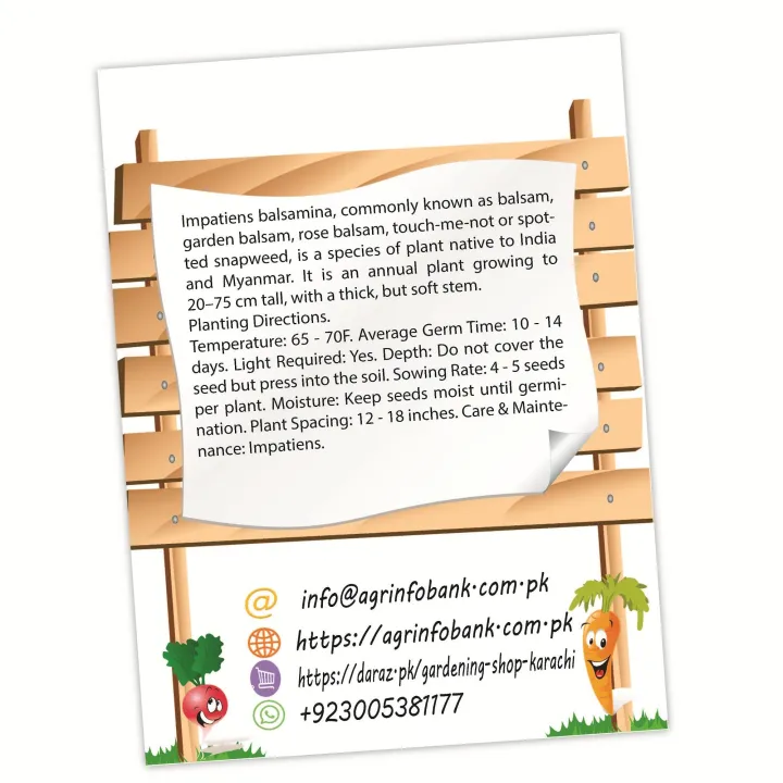 Touch-me-not,%20Impatients%20balsamina,%20mixed%20flower%20seeds%20-%20Image%205