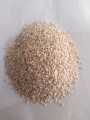 White Sesame seeds(safaid til), سفید تل, (250g). 