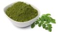 Moringa Leaf Powder  Organic  100 G. 