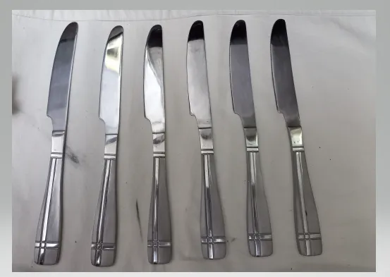 STAINLESS%20STEEL%20TABLE%20KNIFE%20(6%20PCS).%20-%20Image%202