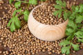 Dried Coriander Seeds whole( desi), sabat sokha dhania 1 Kg,  ( دیسی ثابت سوکھا دھنیا)، 1 Kg خالص ہی ہماری پہچان. 