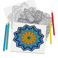 Coloring Books For Adult Pack Of 2. 