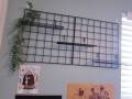 Grid DIY Wall Photos Postcards Wall Art Display Mesh Organizer Pictures Frame. 