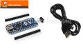 Arduino Nano with Cable. 