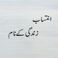 Shaur e Zindagi by Aqib Saeed | Self Help Book in Urdu Language. 