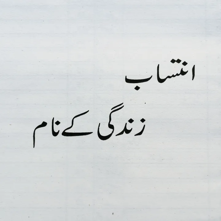 Shaur%20e%20Zindagi%20by%20Aqib%20Saeed%20%7C%20Self%20Help%20Book%20in%20Urdu%20Language%20-%20Image%205