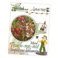 Touch-me-not, Impatients balsamina, mixed flower seeds. 