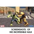 2 in 1 Pc Games - The Hulk and The Incredible Hulk. 