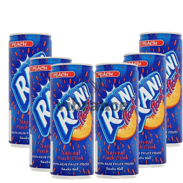 Rani%20Juice%20Float%20Natural%20Orange%20Drink%20240ml%20Pack%20of%2024%20Imported%20-%20Image%204