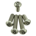 Stainless Steel SS Security Star Key Bolt Size M4x10mm (Pack of 12pcs). 