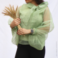 Women Stylish Organza Puffy Sleeves Top With Bow Tie Neck In Pastel Green. 