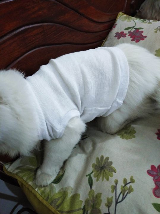 Cute%20Sweater%20For%20Cats%20PACK%20OF%204%20-%20Image%206