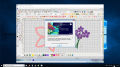 Wilcom Embroidery Studio E4.2 - VM Machine (DVD version). 