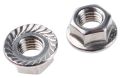 Stainless Steel SS Flange Nut Size M6 (Pack of 10pcs). 