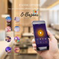 Smart Wifi Led Light Bulb with 16 Million Color changing Capacity Application Controller, Smart Bulb E27 Wifi Lamp 8 Watt Voice Controlled with Google Assistant & Amazon Alexa, Auto On/Off Timer Setting. 