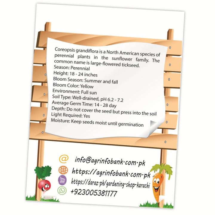 Tickseeds%20Coreopsis%20grandiflora%20winter%20flower%20seeds%20-%20Image%205