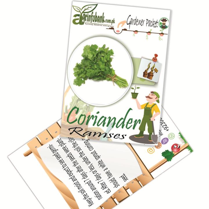 Coriander%20Ramses%20Kitchen%20gardeners%20packet%20-%20Image%204