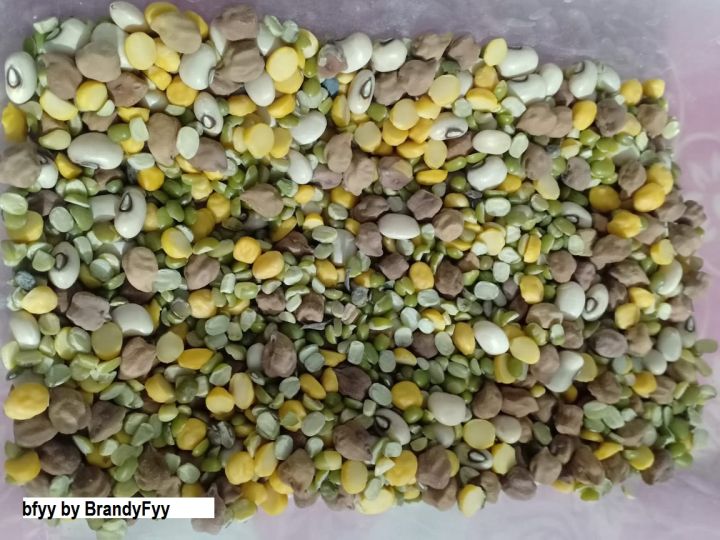 Organic%20Birds%20feed%20/%20Birds%20food%20Ready%20to%20prepare%20Soft%20Food%20Seed%20Mix%20for%20cocktail%20cockatoo%20Alexandrine%20,%20RAW,%20Pahari%20Totta%20Larges%20Parrots,%20Suitable%20for%20African%20Grey%20Parrot,%20Macaw,%20%20lovebirds,%20Australian%20parrots,%20raw,%20ring%20neck%20and%20Other%20similar%20birds%20-%20Image%205